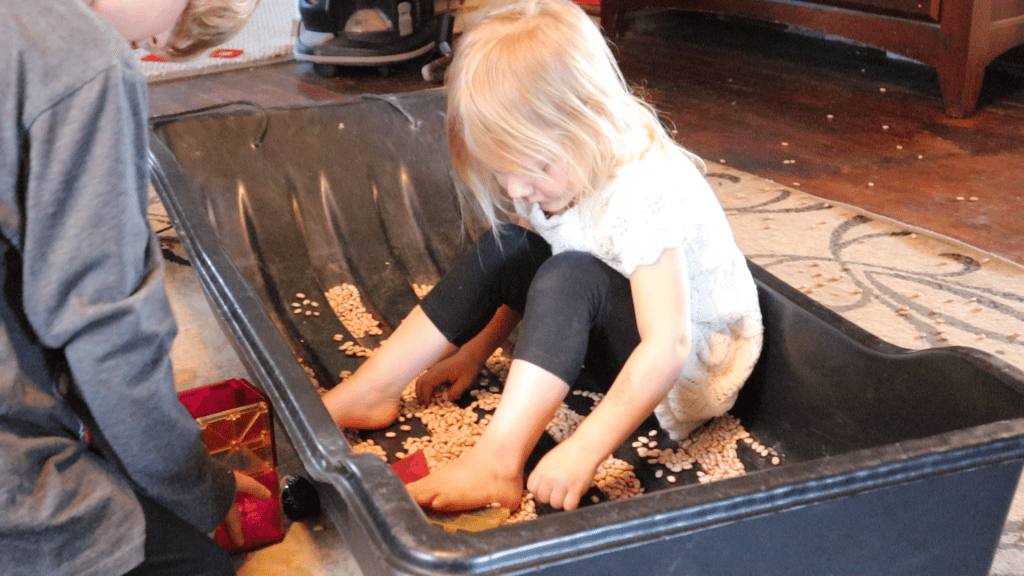 blonde toddler girl playing in dried beans