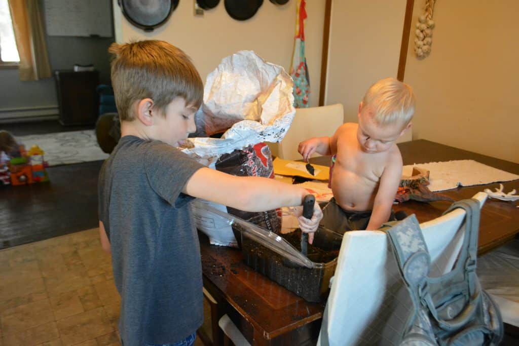 two boys playing in kitchen with soil