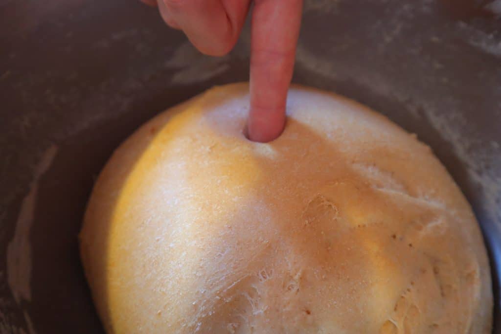 bread dough rise test