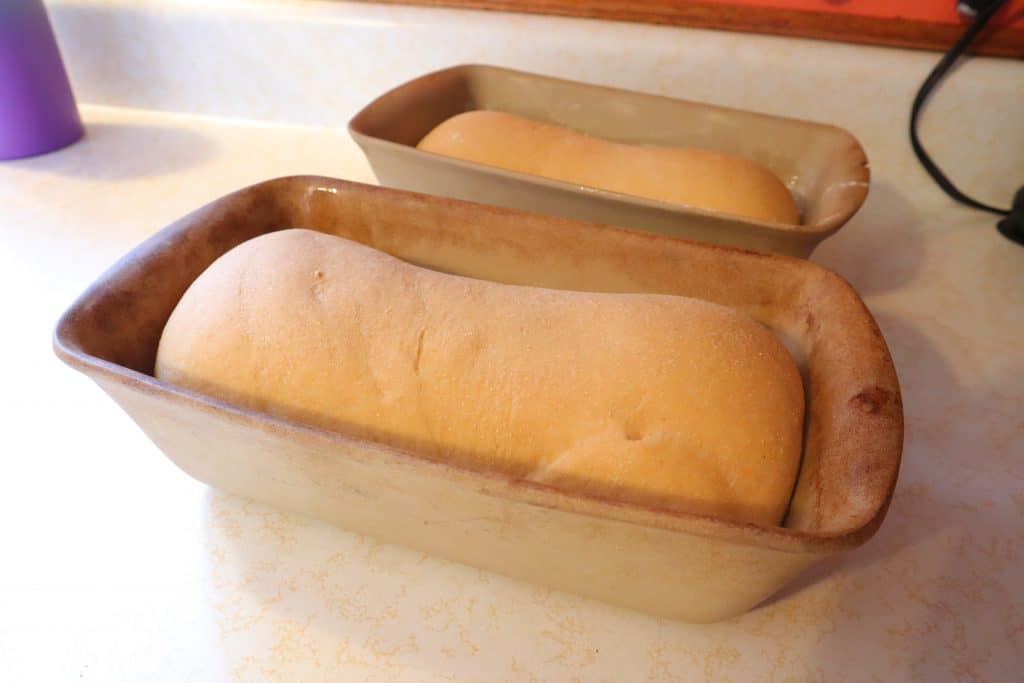 second rise bread dough