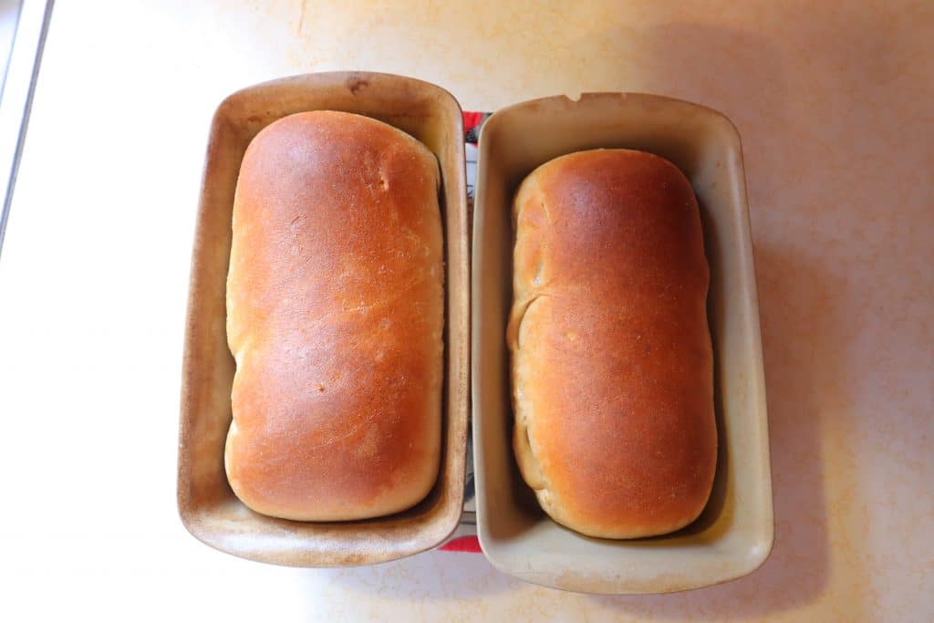 homemade whole wheat bread in pans