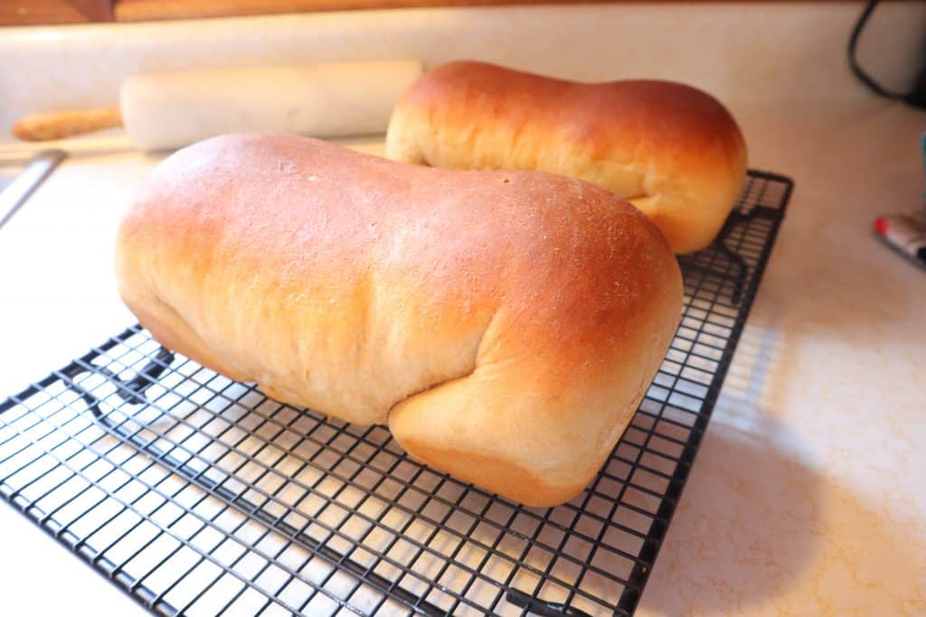 homemade whole wheat bread on cooling racks