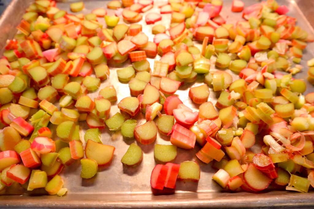 rhubarb pieces on baking tray to freeze