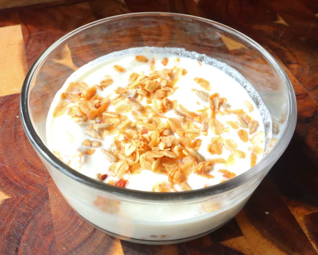 homemade yogurt with granola