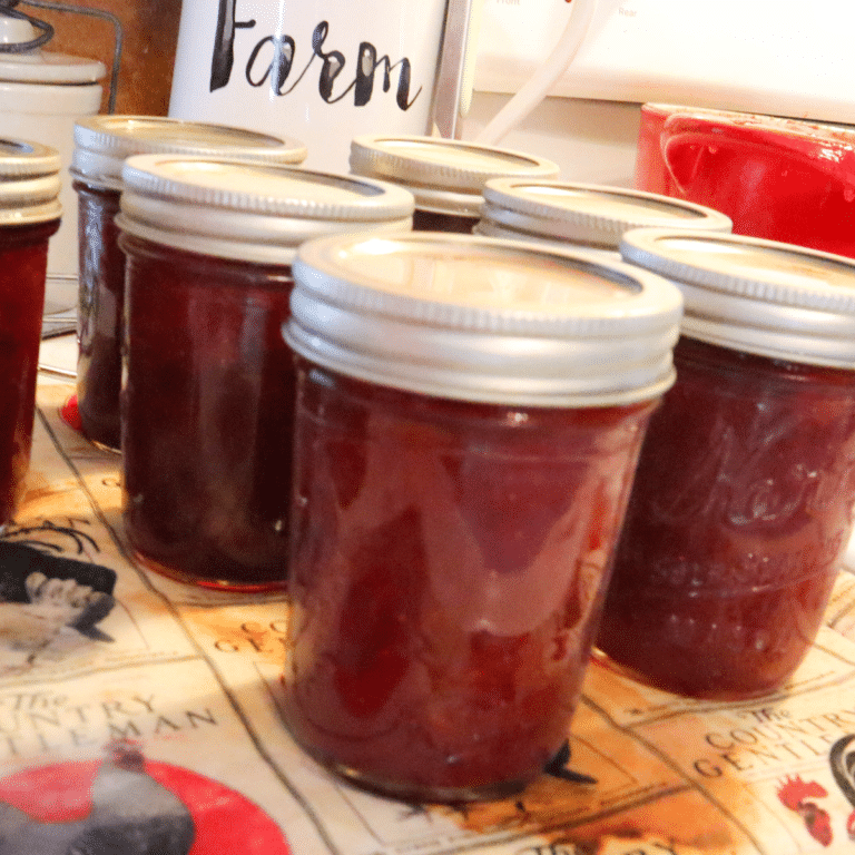 Strawberry Rhubarb Jam Canning Recipe