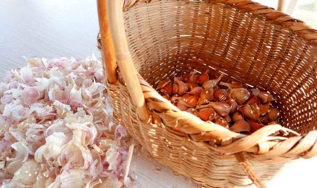 garlic in basket