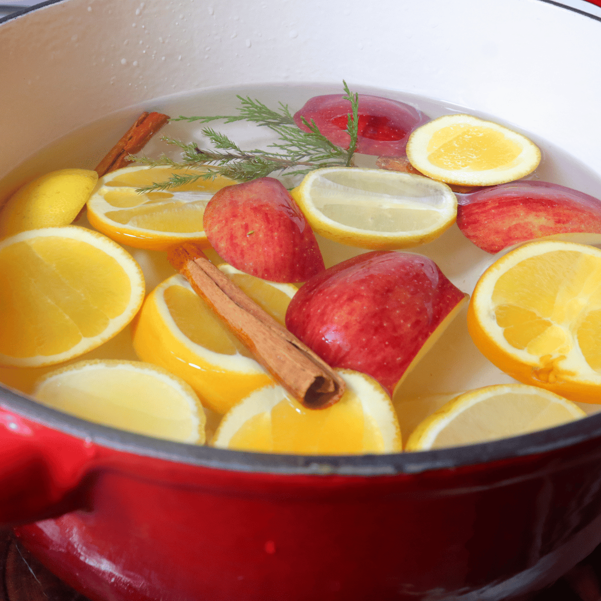 10 Amazing Simmer Pot Recipes + Extra Ideas