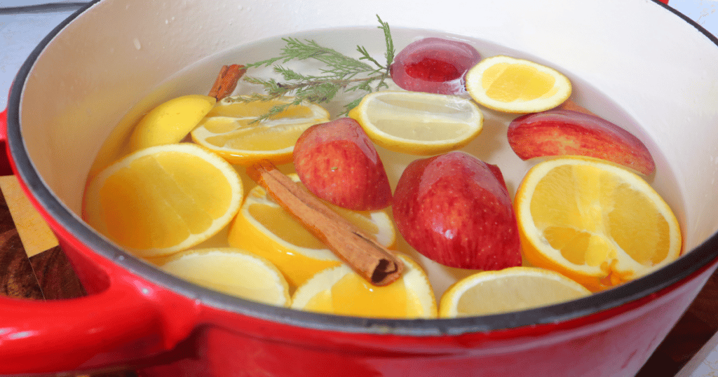 simmer pot with citrus fruits, apples, cinnamon sticks, and tree