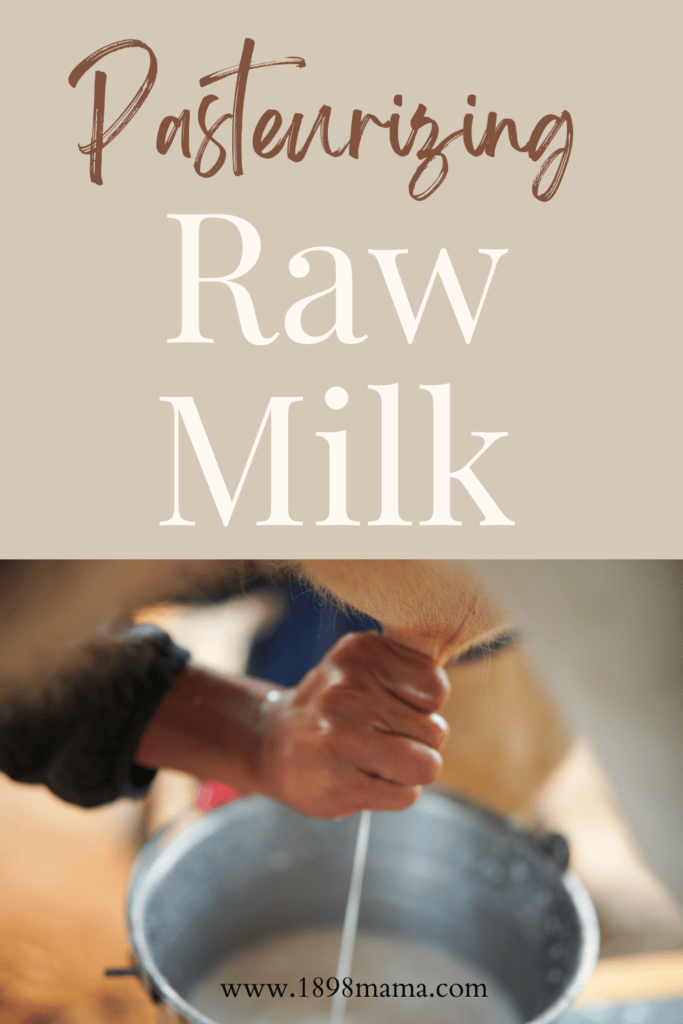 pasteurizing raw milk pin milking a cow