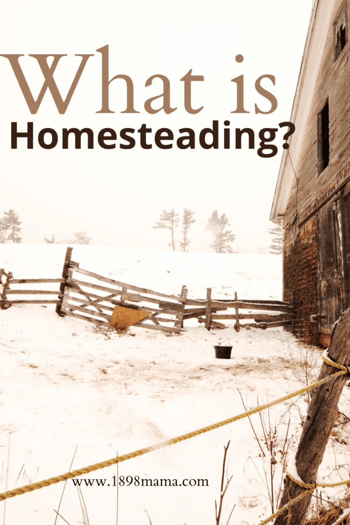 what is homesteading pin for pinterest