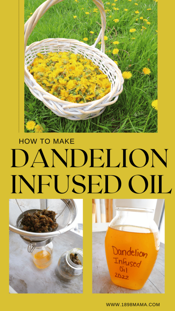 how to make dandelion infused oil pin