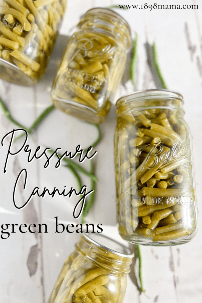 pressure canning green beans