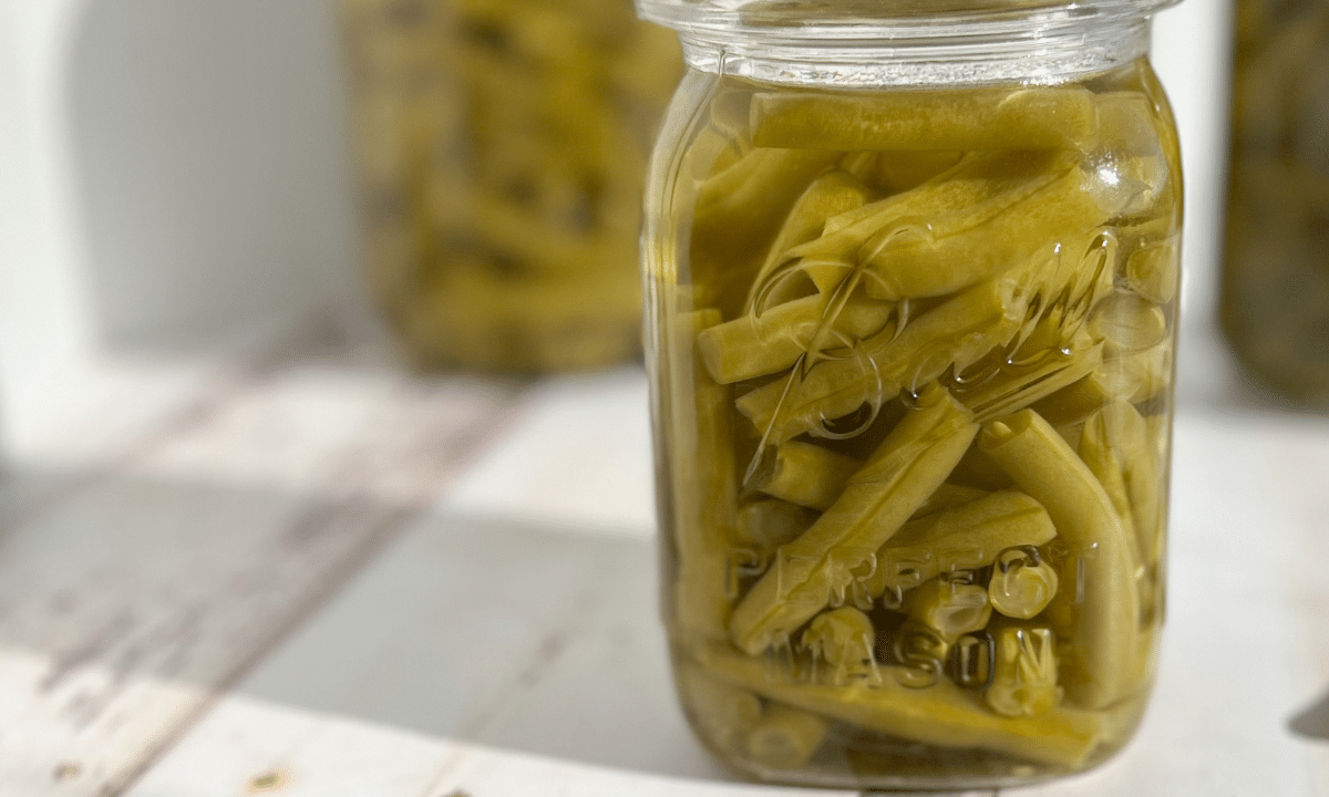 Pressure Canning Green Beans for Beginners 1898 Mama
