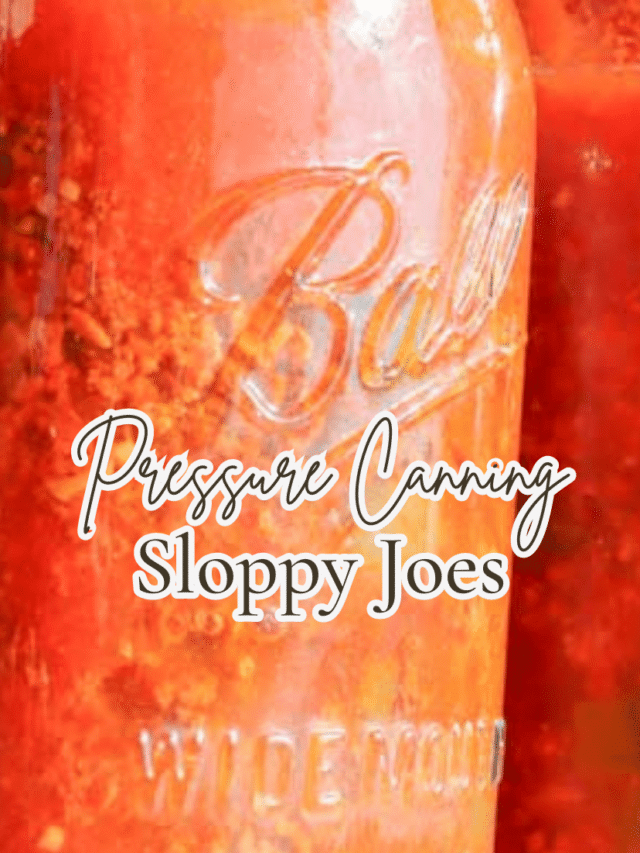 Pressure Canning Sloppy Joe Mix