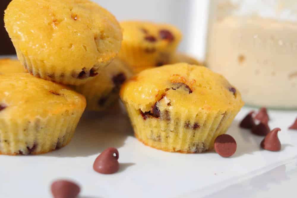 sourdough chocolate chip muffins on white plate